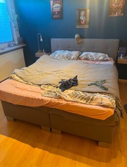 Boxspringbett 160x200 cm in Grau – Top-Zustand, kaum genutzt - Bielefeld Schildesche