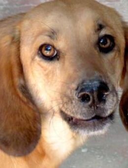 Lady 8 -braucht Verständnis und Geduld- - Oldenburg