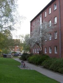 Eckernförde 4 Zi.Whg., Loggia , EBK, Gäste WC beste Aussicht - Eckernförde