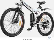 E-Bike - Mühlau