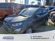 Ford EcoSport Titanium WINTERPAKET TECHNIKPAKET FA... - Leipzig