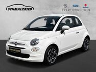 Fiat 500, 1.0 Club Mild Hybrid Musikstreaming, Jahr 2023 - Bremerhaven