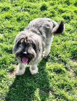 Hübsche Gina, anfangs schüchtern (E) - Ludwigshafen (Rhein)