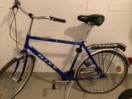 Herren Fahrrad - Detmold