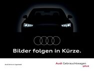 Audi Q8, Advanced 55 qu dig - Sitzbelüftu, Jahr 2023 - Ingolstadt