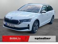 Skoda Octavia, 2.0 TDI Combi Selection, Jahr 2024 - Würzburg