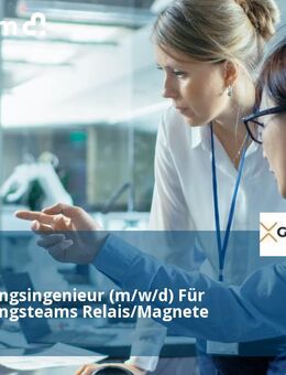 Entwicklungsingenieur (m/w/d) Für Entwicklungsteams Relais/Magnete - Wehingen