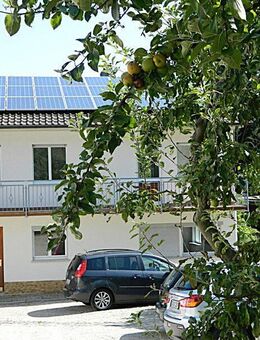 Vielfältige Möglichkeiten - drei Häuser auf einem Grundstück - Fischbachtal