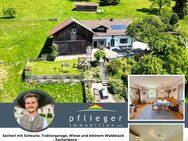 Sacherl mit Scheune, Traktorgarage, Wiese und kleinem Waldstück - Zachenberg