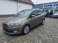 Ford Grand C-Max Titanium Pan.dach Leder Xenon - Potsdam