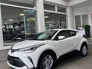 Toyota C-HR, Hybrid Business Edition, Jahr 2021 - Freising