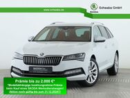 Skoda Superb, 1.5 TSI Combi Style, Jahr 2024 - Gersthofen