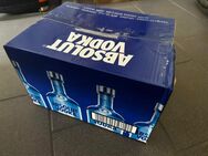 Absolut Vodka 120 x 50ml Miniaturen (6 Liter) - Köln