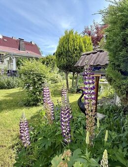 Das perfekte Familienglück - Erfurt
