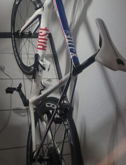 Rose Rennrad - Herne Zentrum