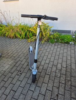 Neuwertiger E - Scooter zu verkaufen - Kißlegg