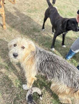 Maila - Markkleeberg