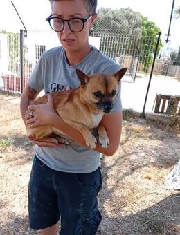 Maxi, kleiner Schatz sucht großes Glück - Berlin