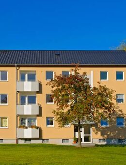 3-Zimmer-Wohnung in Bad Driburg - Bad Driburg