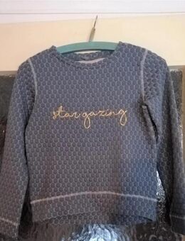 Graues Langarmshirt mit Aufdruck von H&M - Gr. 134/140 - Pirmasens
