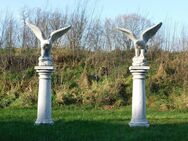 2er-Set - Adler auf Sockel - 140 cm - Massivstein - Heek