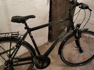 Herren Fahrrad Pegasus 28Zoll - Magdeburg