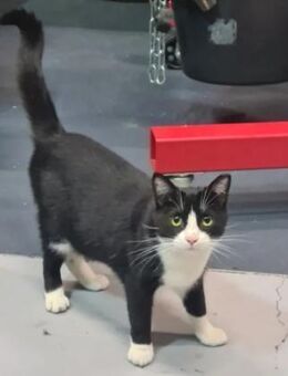 Minnie Sonnenscheinchen sucht Familie - Unterföhring