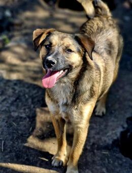 Rita, lieb und schüchtern - Bochum