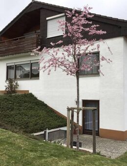 Schöne 2-Zimmer-Wohnung im beliebter Wohnlage - Rottweil