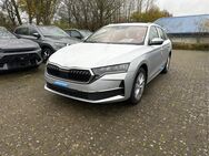 Skoda Octavia, Combi Selection A, Jahr 2024 - Buchholz (Nordheide)