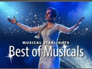 LASTMINUTE! Gutschein Musical "Starlights" 28.02.25 Veitshöchheim - Arnstadt