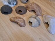 Höhle Versteck Reptilien Unterschlupf Exo Terra Lucky Reptile - Fürstenfeldbruck