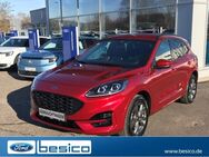 Ford Kuga, ST-Line X, Jahr 2024 - Glauchau