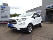 Ford EcoSport Titanium *NAVI*PDC*TEMPO*WINPAK*KEYFREE - Neudenau