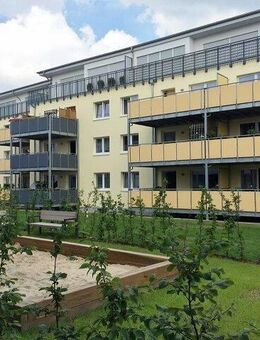 Top saniert und barrierefrei obendrein! - Bad Salzuflen