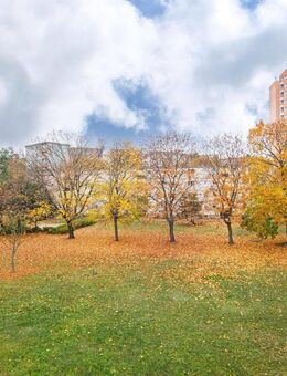 3-Zi. in Spandau, frisch renoviert, sofort verfügbar, maklerfrei - Berlin