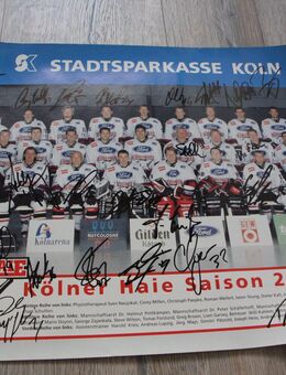 ~ Poster ~ Kölner Haie ~ Autogramme ~ - Sankt Augustin