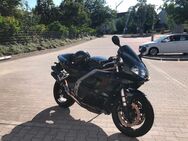 TRIUMPH Daytona 955i Centennial Edition Tausch gegen Auto - Spremberg