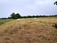 Silage Ballen - Steinau