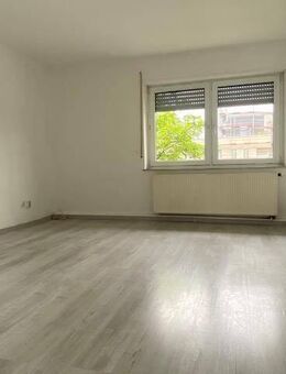 Helle Drei Zimmer in Johannis - Nürnberg