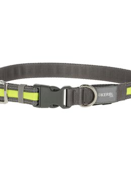 Kerbl Pet Light & Reflex Leuchthalsband - Größe M/L: 45-65 cm Halsumfang, 20 mm breit