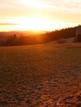 Traumgrundstück inkl. Baugenehmigung - Schwarzenbach (Wald)