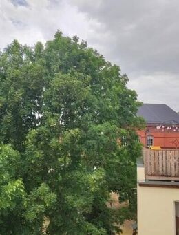 BALKON / NEU SANIERT / RUHIGE LAGE / LICHTDURCHFLUTET - Weißenfels