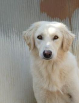 Derek sucht sein Glück - Neuss