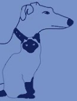 Hunde-Pflegestellen gesucht - München