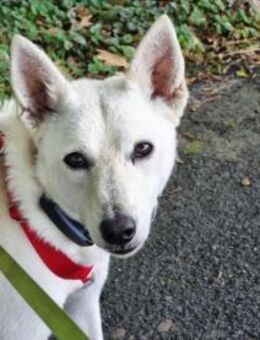 Kokusz möchte entdeckt werden - Nordwalde