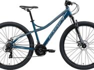 Bikestar Mountainbike, 21 Gang Shimano RD-TY300 Schaltwerk, Kettenschaltung, für Damen und Herren, Kettenschaltung