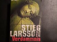 Verdammnis von Stieg Larsson (2015, Taschenbuch) - Essen