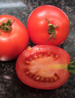 Eiertomate De Barao - Stabtomate - Stuttgart
