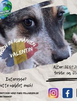 VALENTIN-mögen hätt' ich schon wollen - Waakirchen